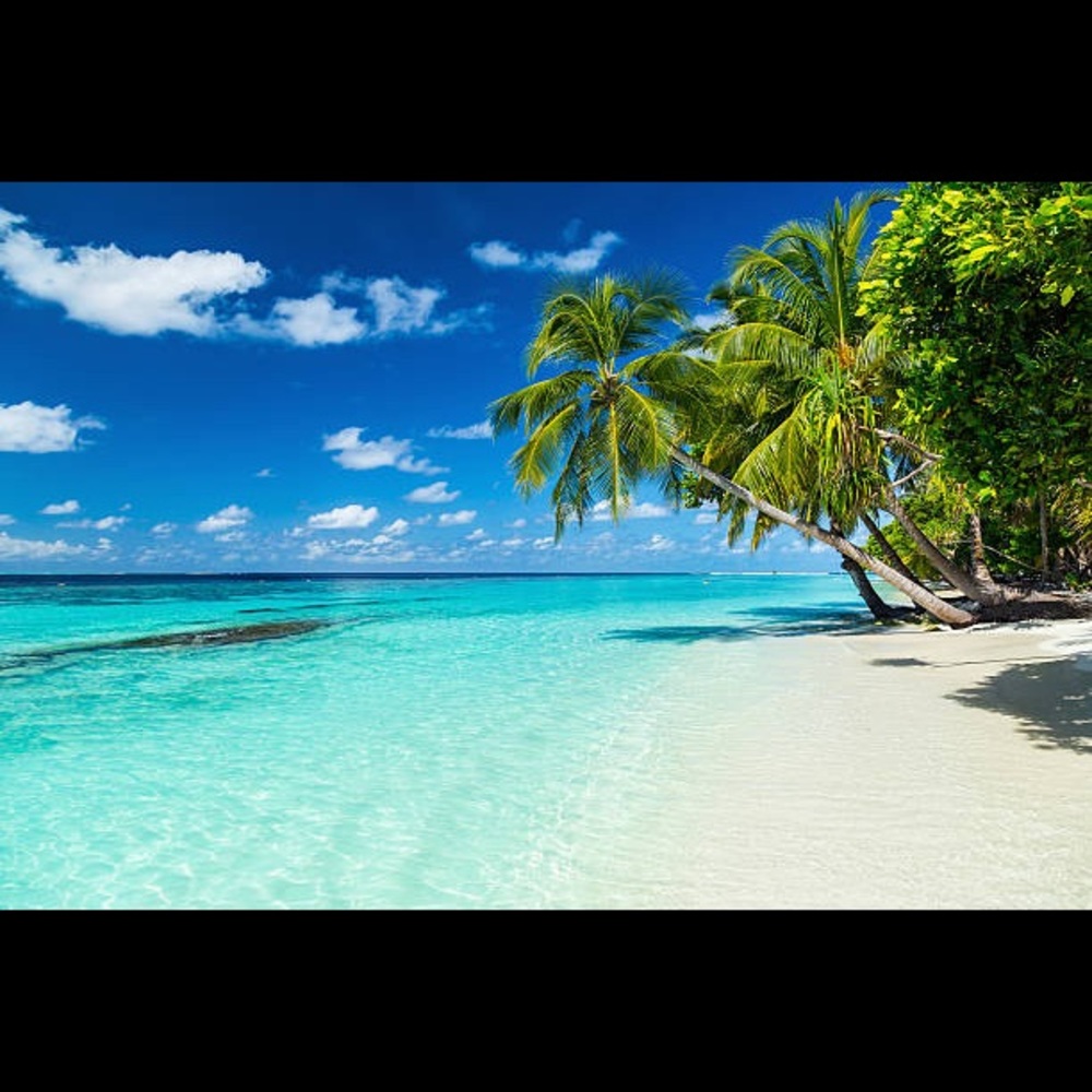 Meet your Posher, Kristianna